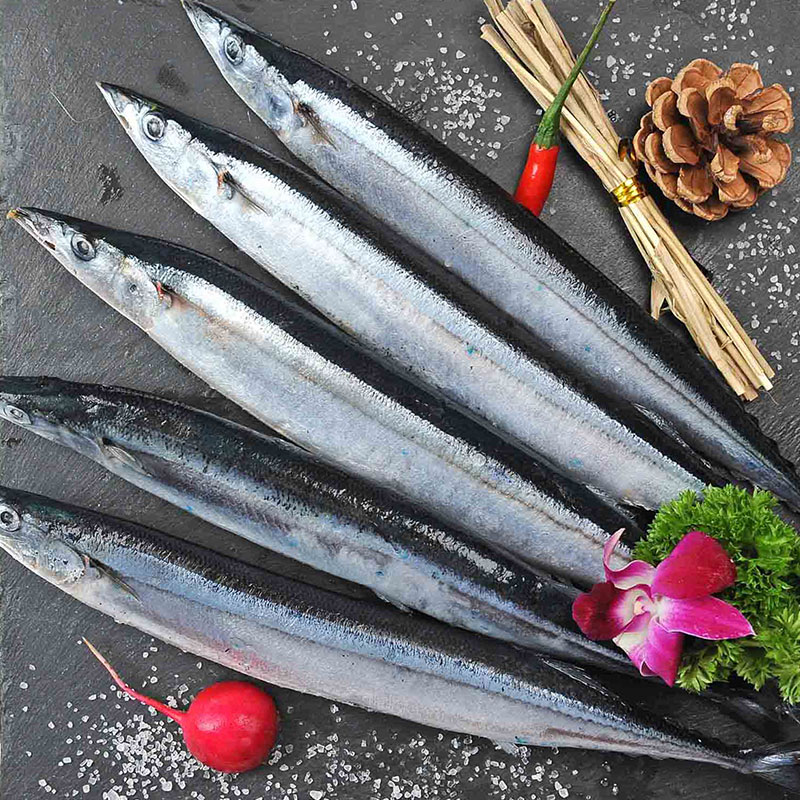 frozen Bonito whole round