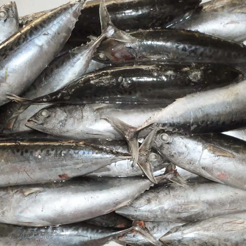 product-LongSheng-img-3