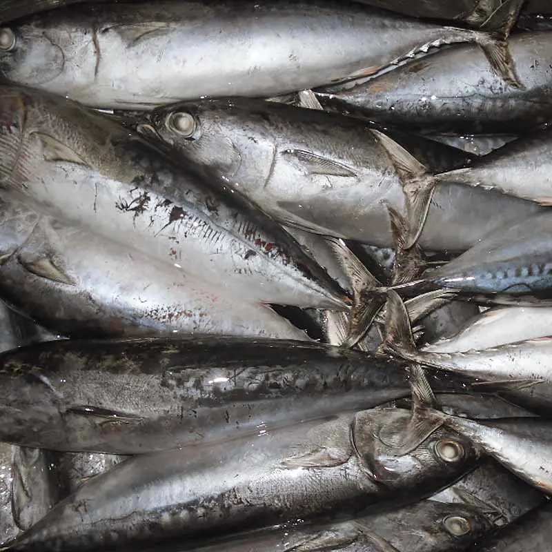 product-LongSheng-img-3