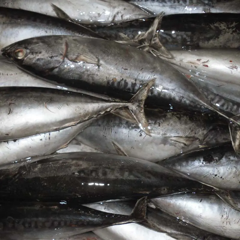 product-LongSheng-img-3