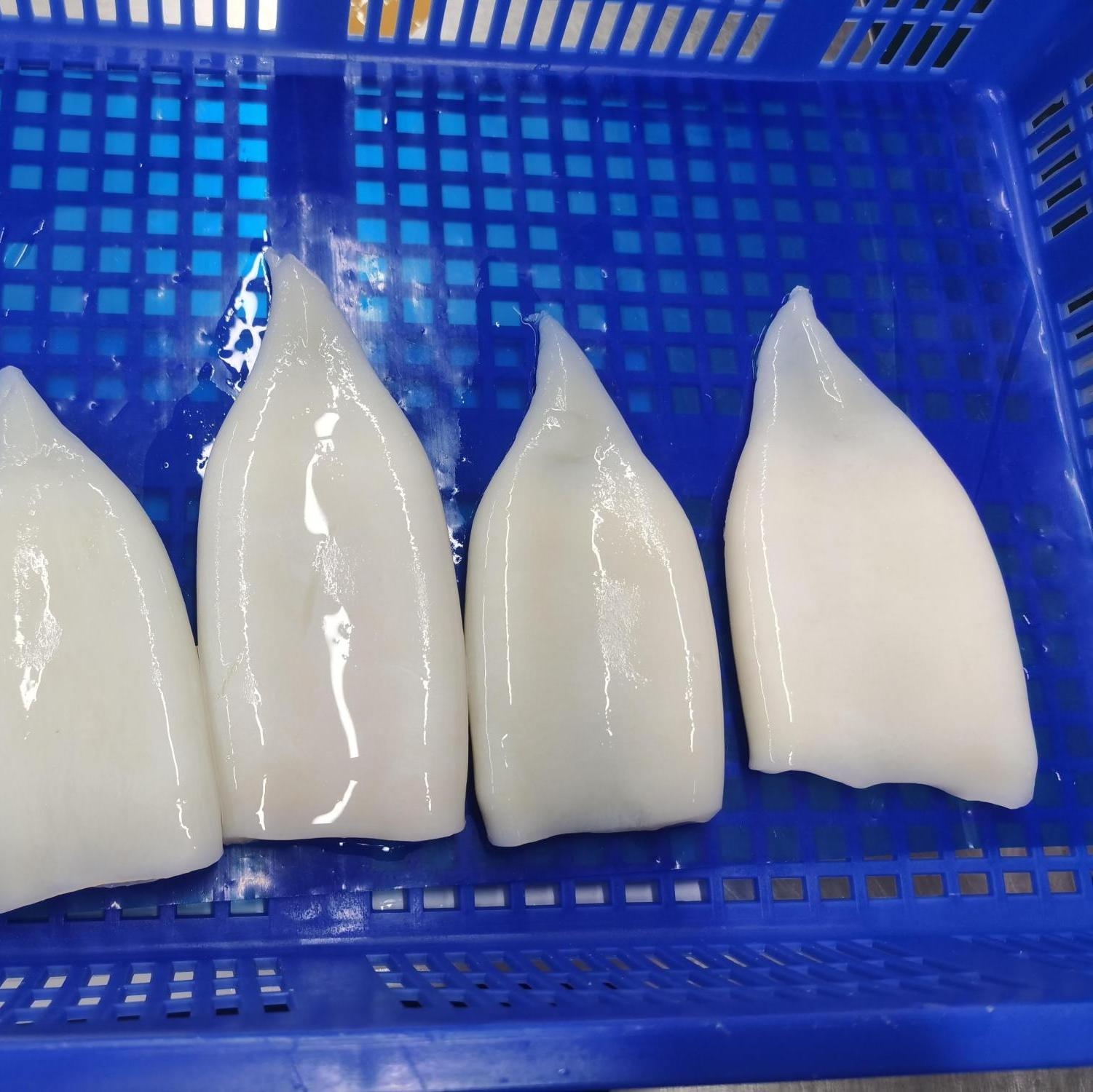 squid tube