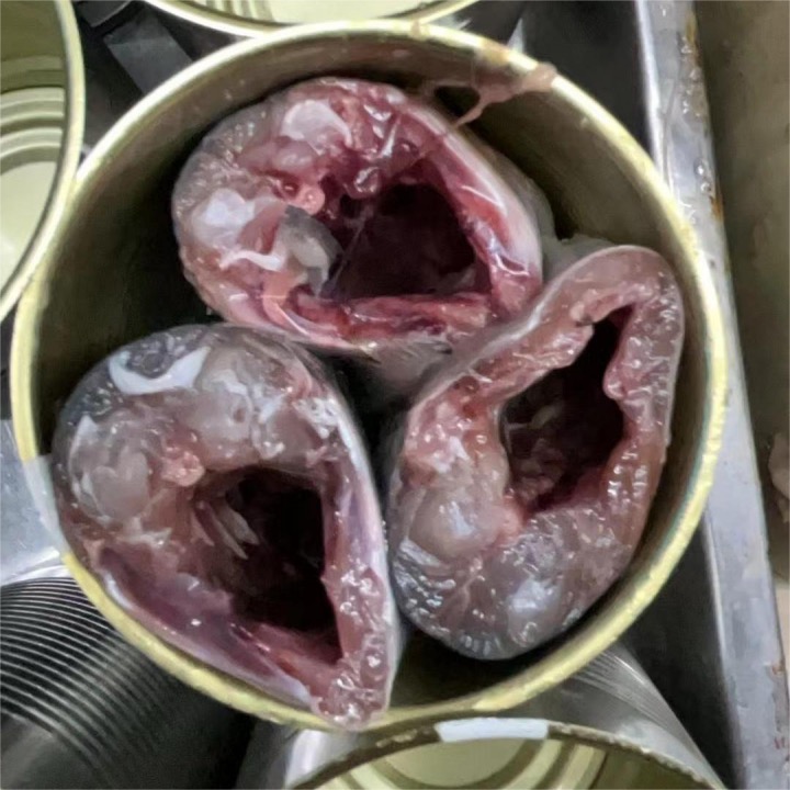 canned fish