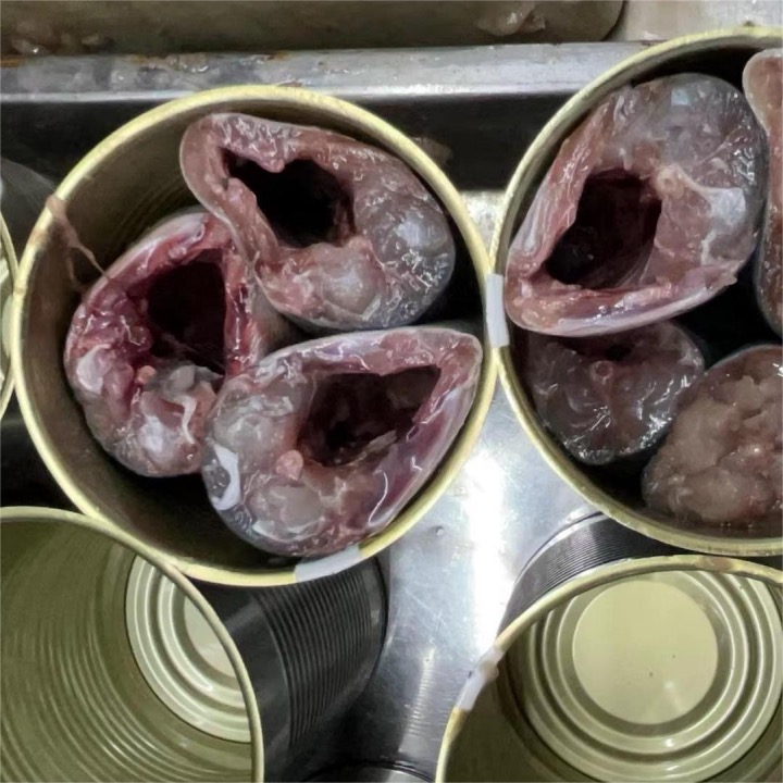canned fish