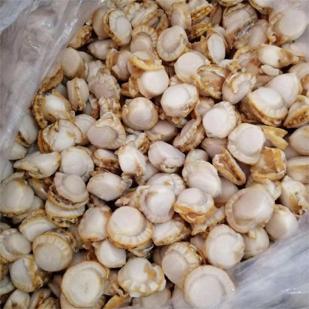 sea scallop meat with fril
