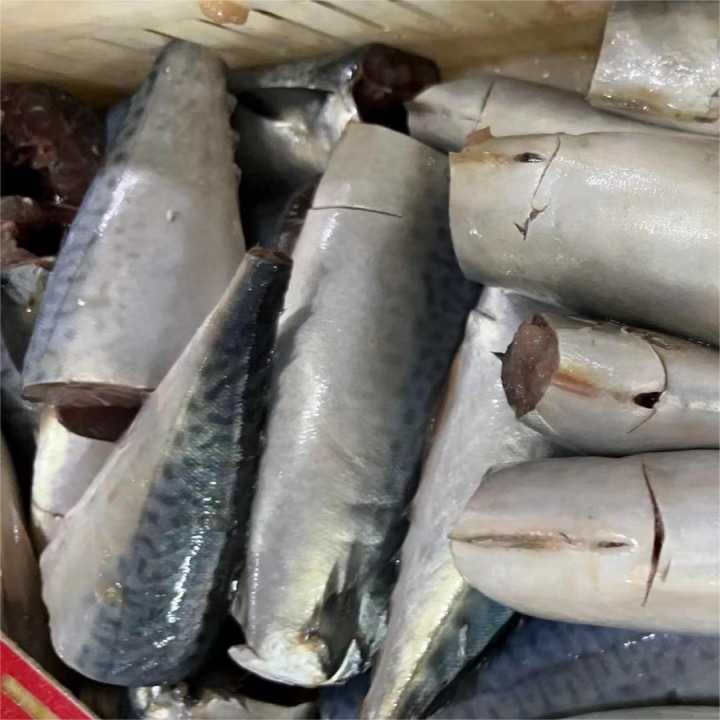 canned fish