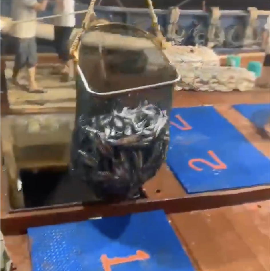 Fishing