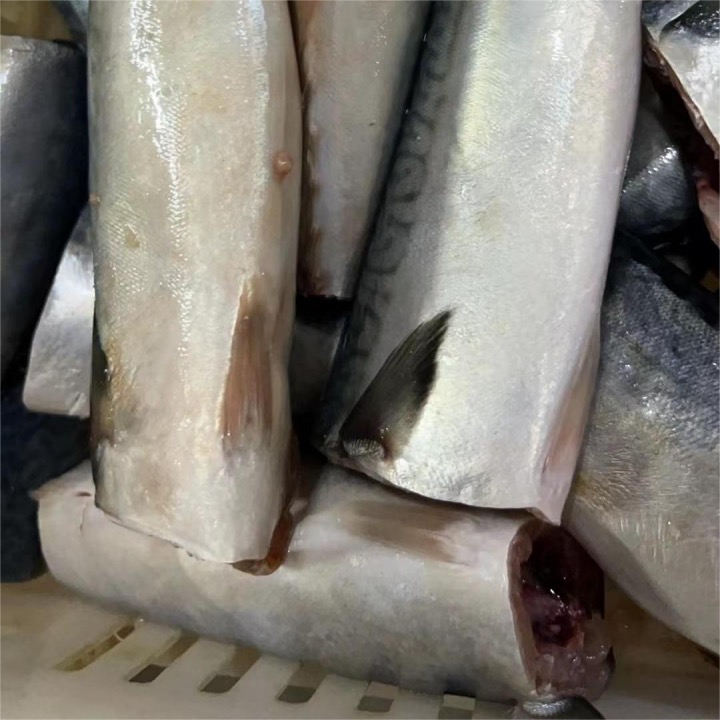 canned fish