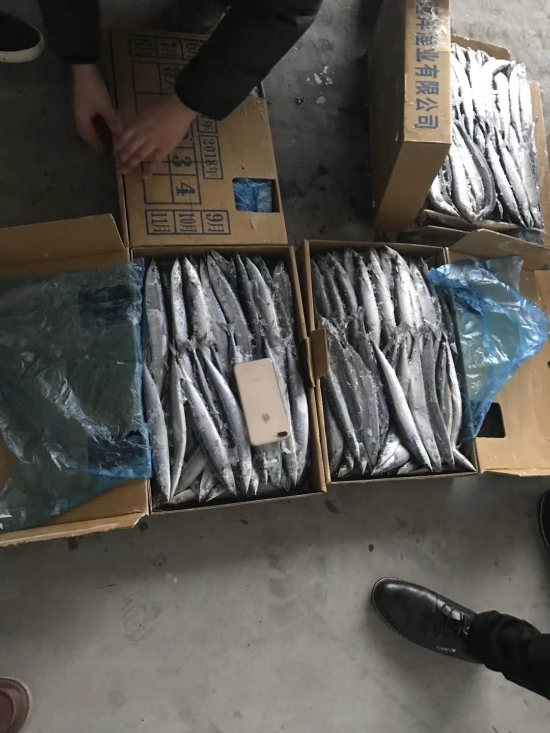 SAURYIMG_2180 SAURYIMG_2180