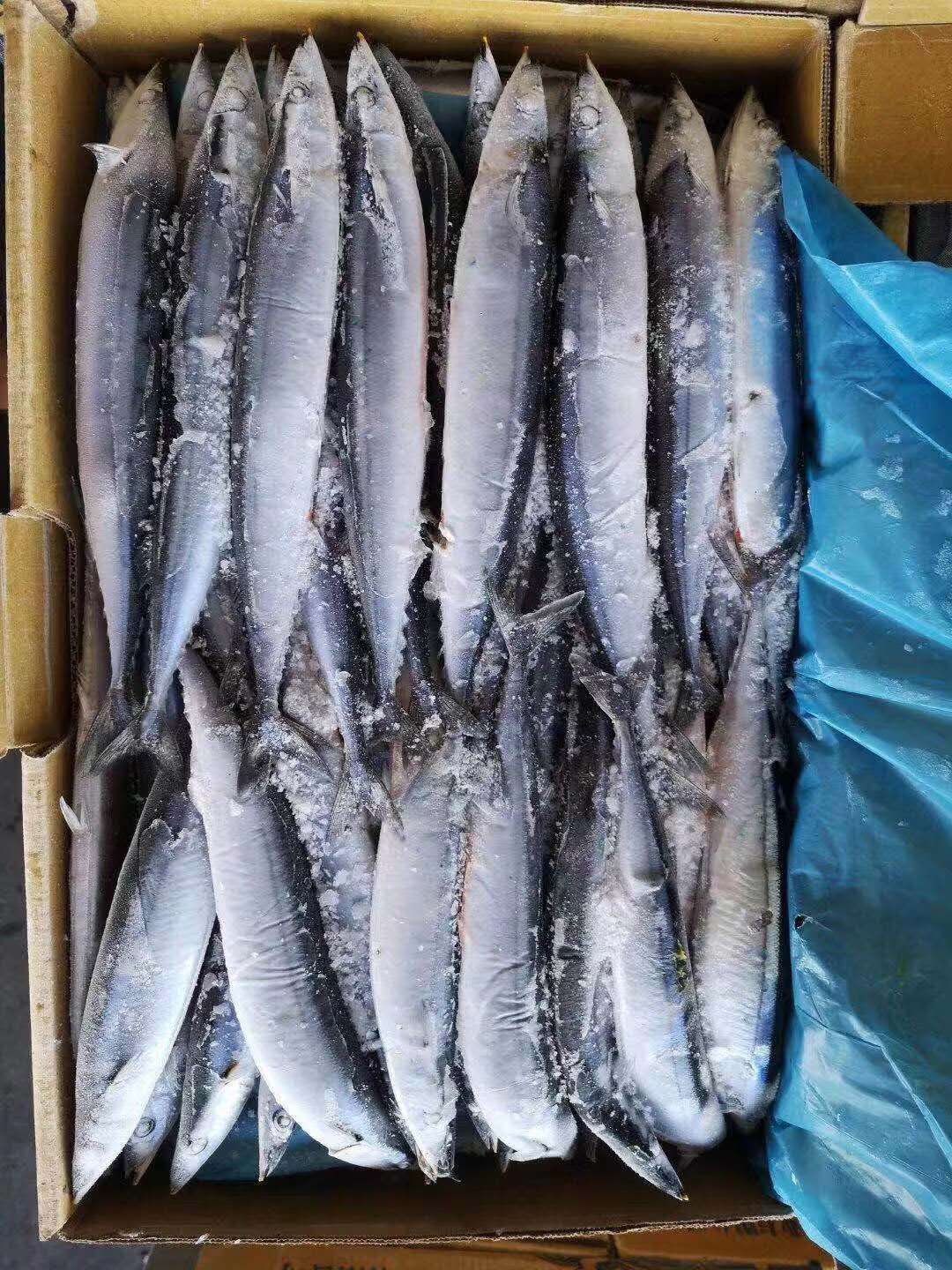 SAURYIMG_2178 SAURYIMG_2178