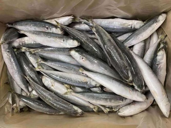 eca1fd05-c9a7-4666-aa18-138ef3ca9be6 eca1fd05-c9a7-4666-aa18-138ef3ca9be6