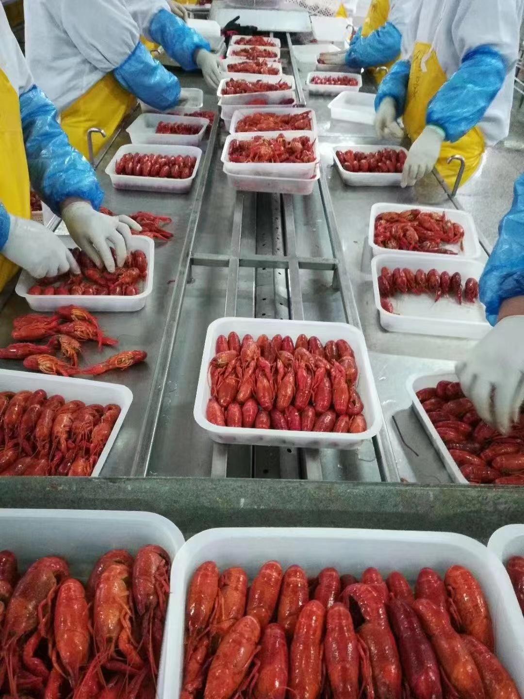 wps_doc_44 wps_doc_44