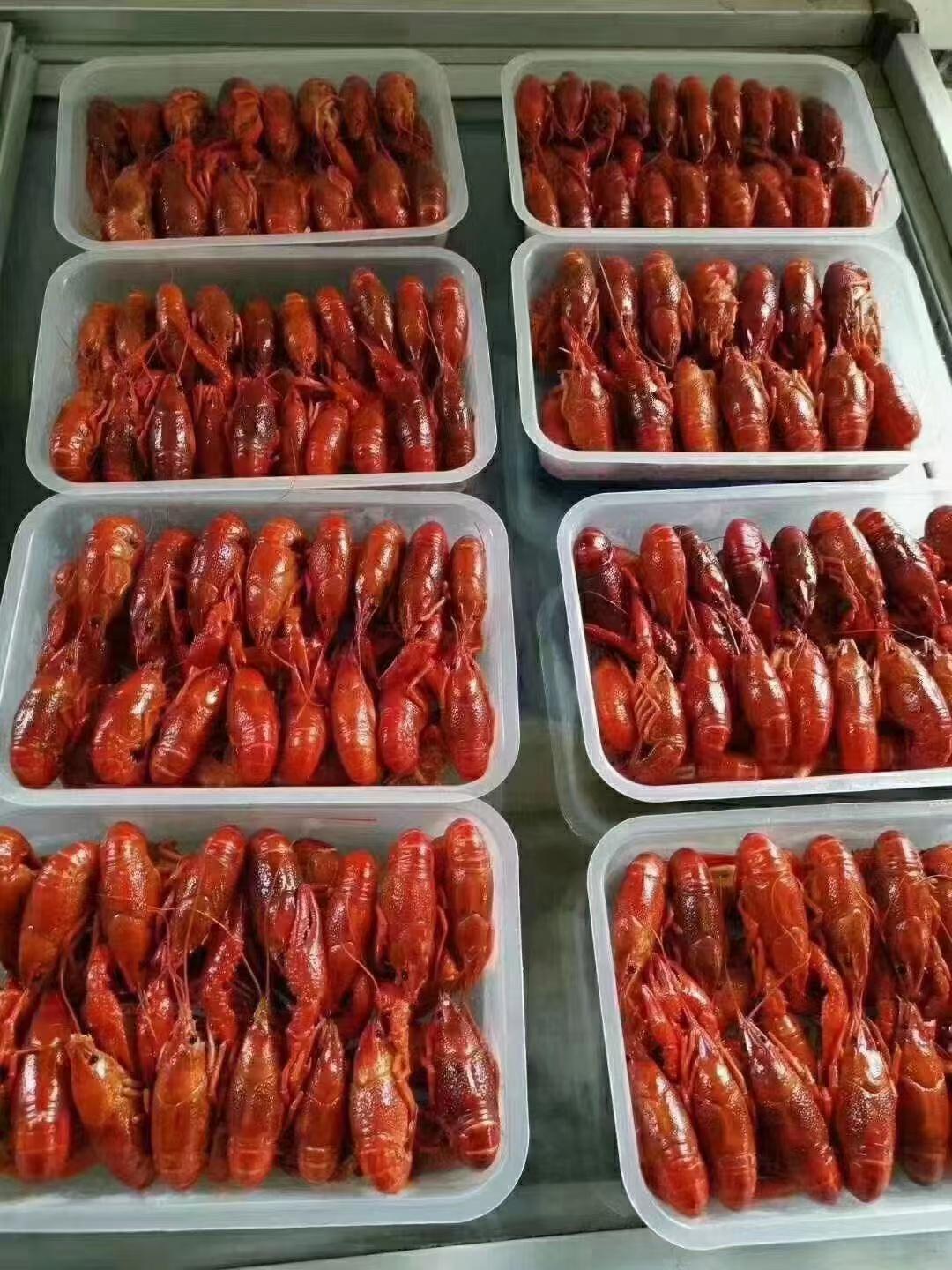 wps_doc_42 wps_doc_42