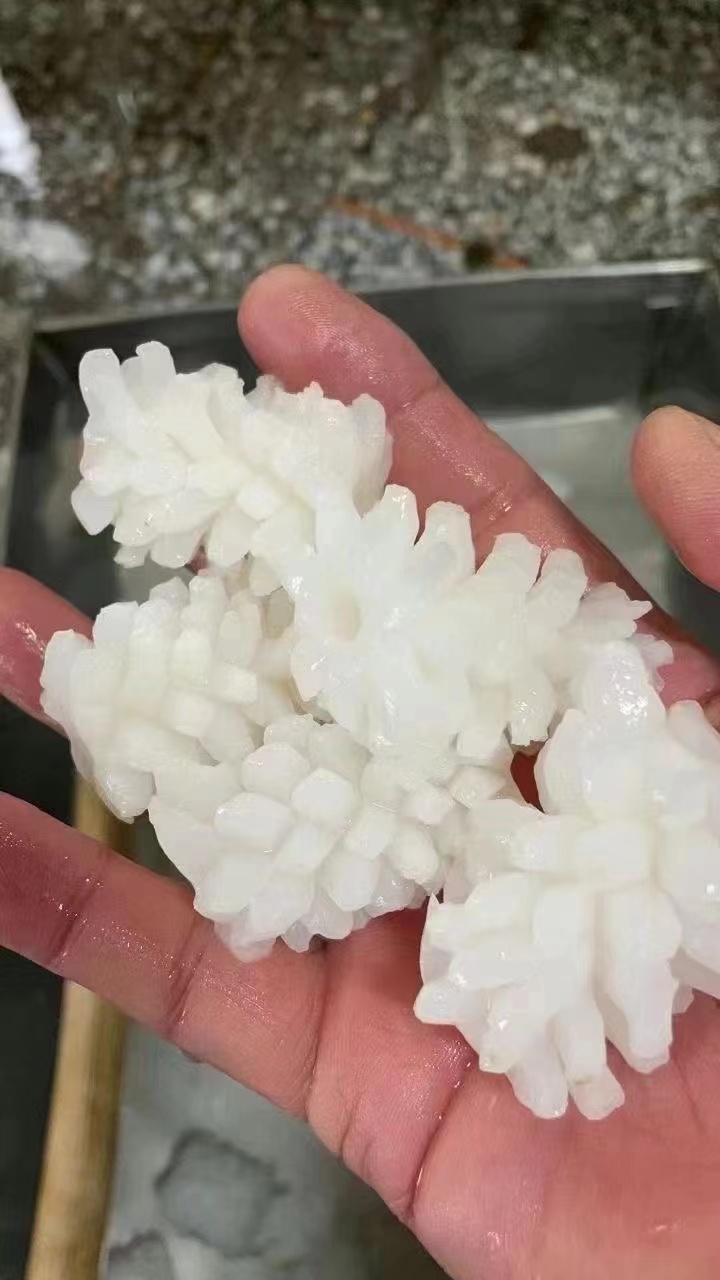 微信图片_20240405150246 微信图片_20240405150246