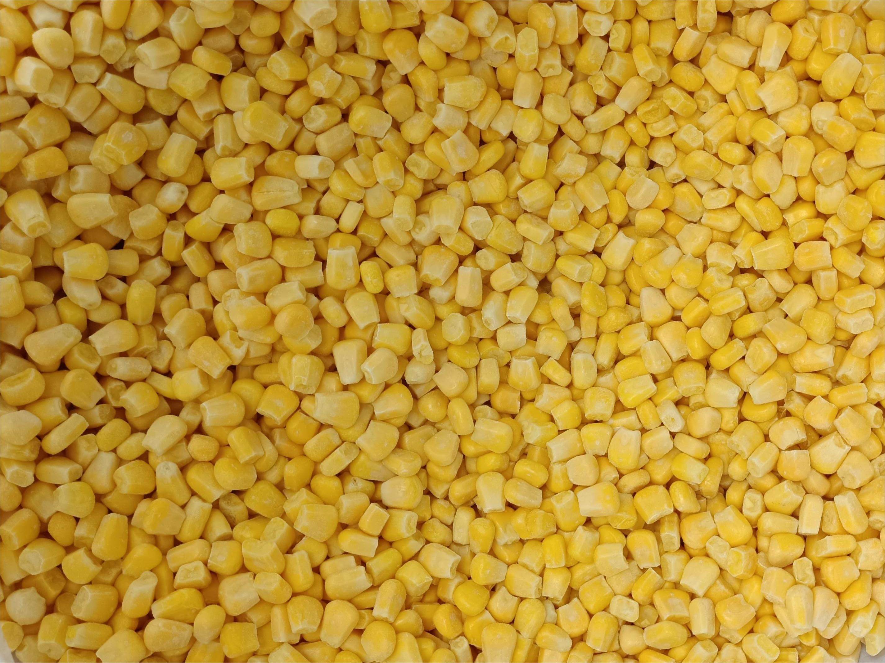 Sweet corn 1defuben_r__2851-2137_c__c8a139_