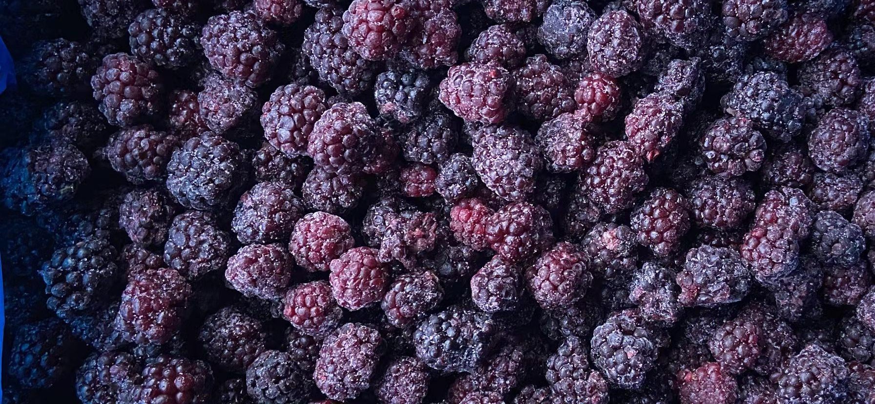 lengdonghei莓 Frozen Blackberry