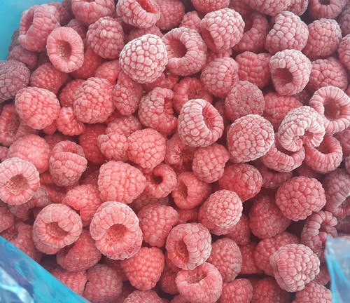 lengdongshu莓 Frozen Raspberry
