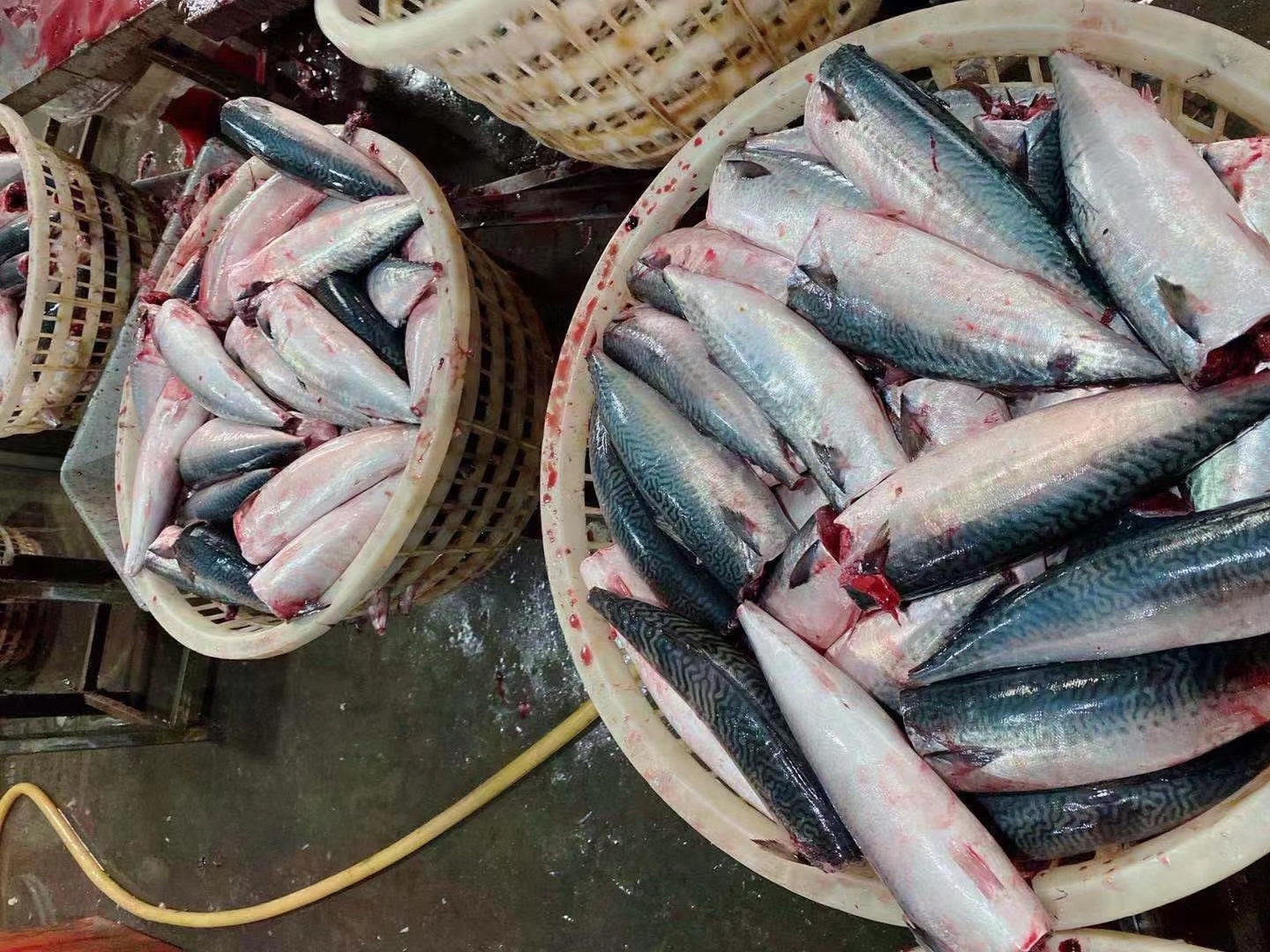 微信图片_202404022211231.jpg