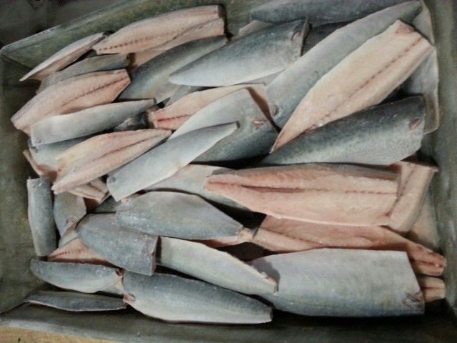 frozen pacific mackerel fillet (2)