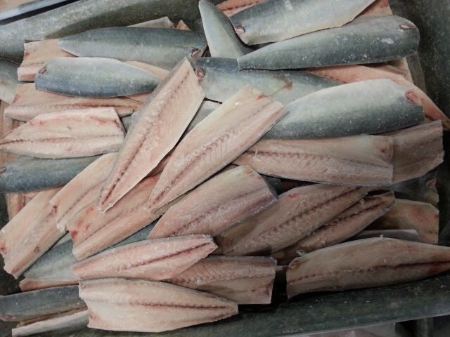 frozen pacific mackerel fillet (1)