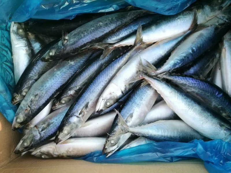 876181937525682868 876181937525682868