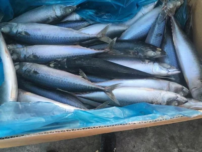 453421911533190484 453421911533190484