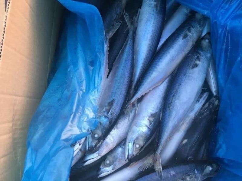 403451083347028431 403451083347028431