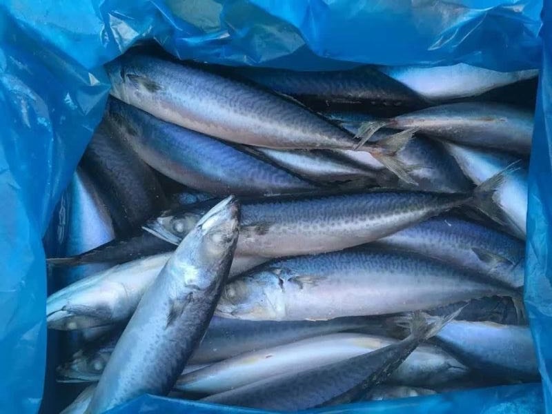 79043241756962989 79043241756962989