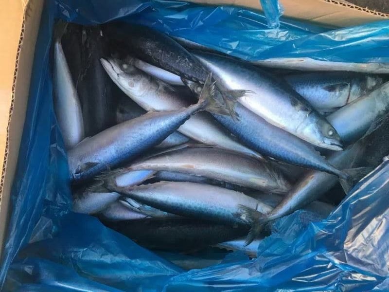 104181727589063427 104181727589063427