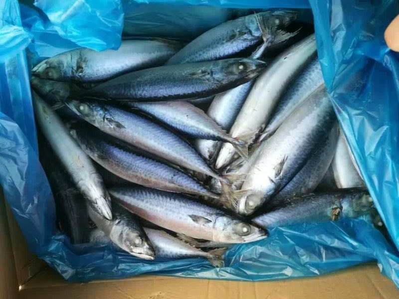 226093083158631231 226093083158631231