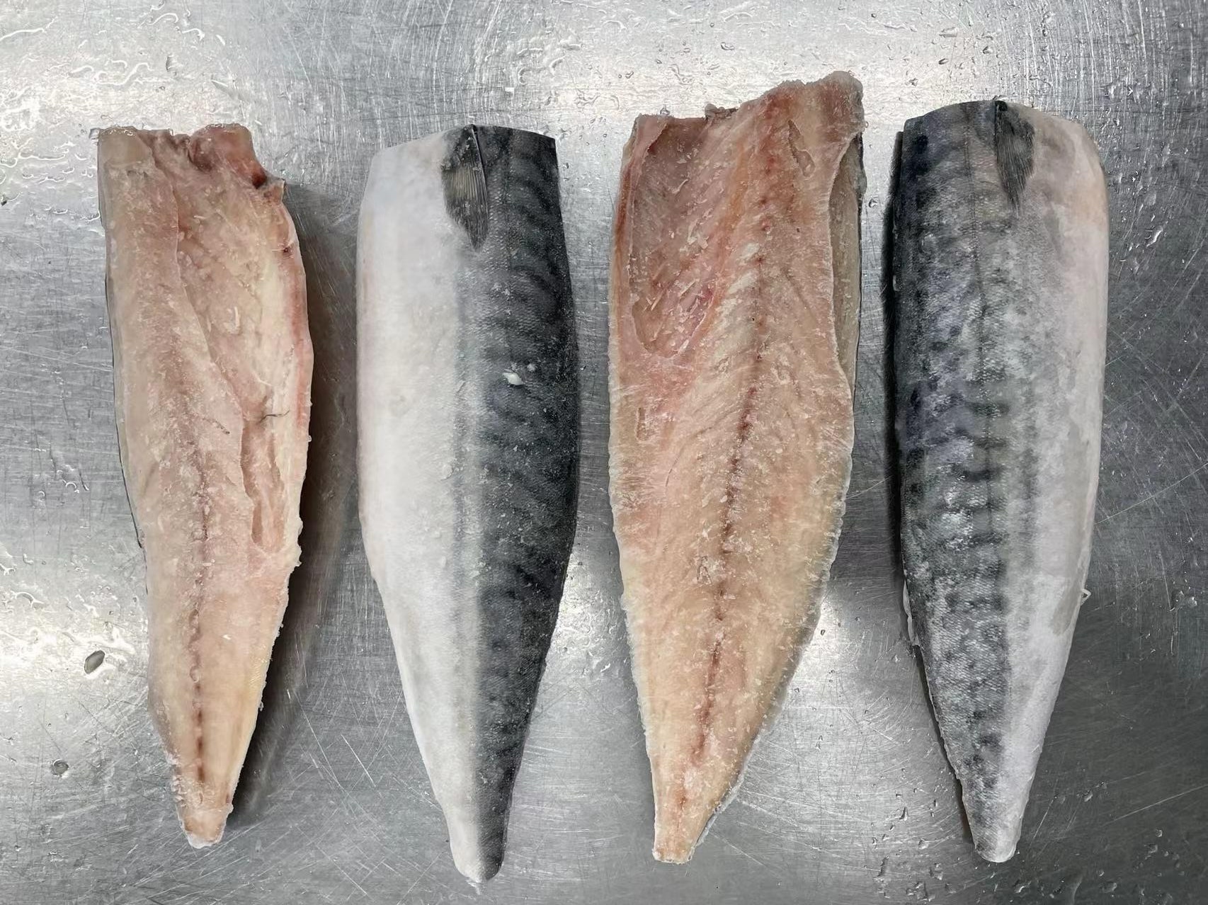 atlantic mackerel filletwps_doc_49 atlantic mackerel filletwps_doc_49